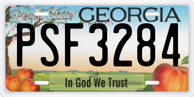 GA license plate PSF3284