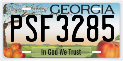 GA license plate PSF3285