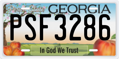 GA license plate PSF3286