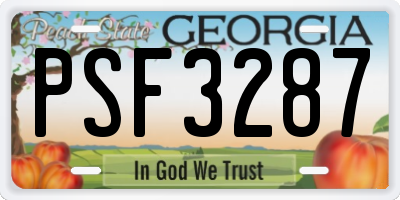 GA license plate PSF3287