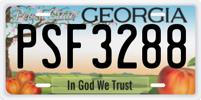 GA license plate PSF3288