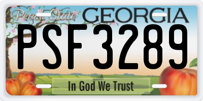GA license plate PSF3289