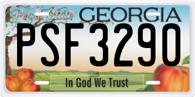 GA license plate PSF3290