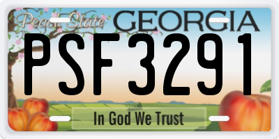 GA license plate PSF3291