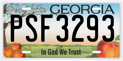 GA license plate PSF3293
