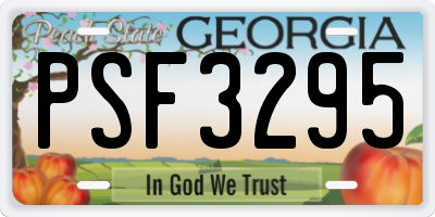GA license plate PSF3295