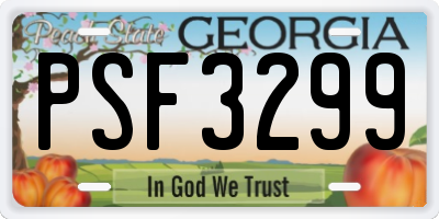 GA license plate PSF3299