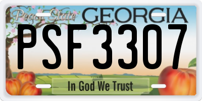 GA license plate PSF3307
