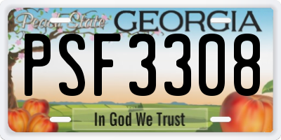 GA license plate PSF3308