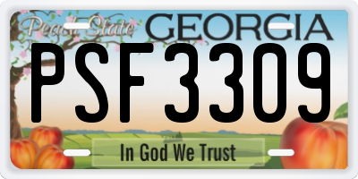 GA license plate PSF3309