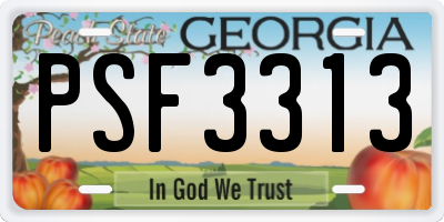GA license plate PSF3313