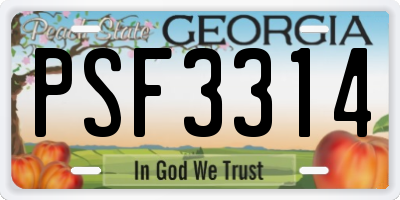 GA license plate PSF3314