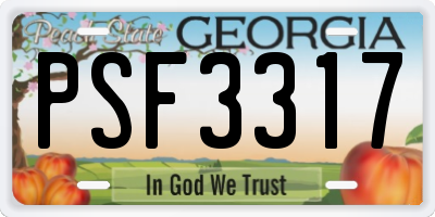 GA license plate PSF3317