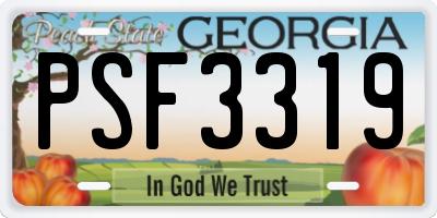 GA license plate PSF3319