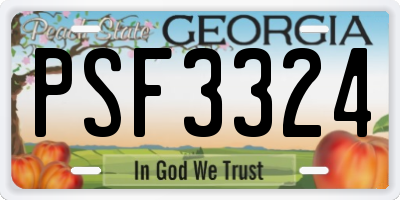 GA license plate PSF3324