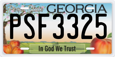 GA license plate PSF3325