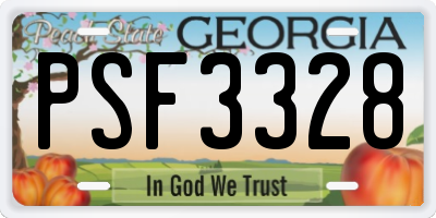 GA license plate PSF3328