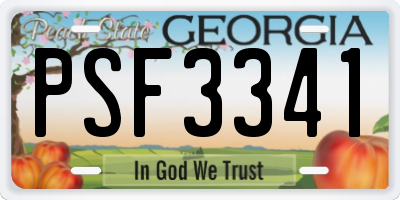 GA license plate PSF3341