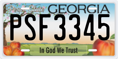 GA license plate PSF3345