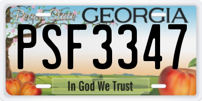 GA license plate PSF3347