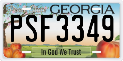 GA license plate PSF3349