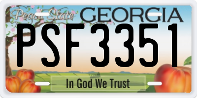 GA license plate PSF3351