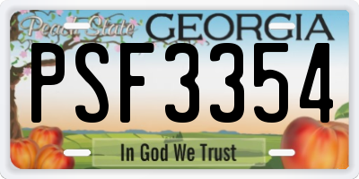 GA license plate PSF3354