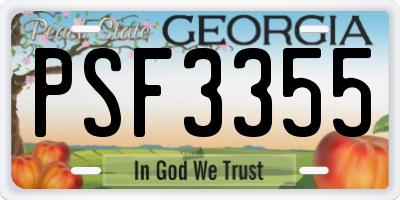 GA license plate PSF3355