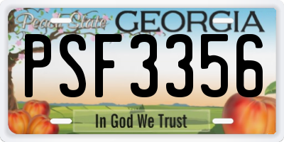 GA license plate PSF3356