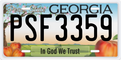 GA license plate PSF3359