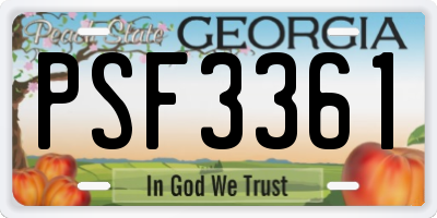 GA license plate PSF3361