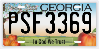 GA license plate PSF3369