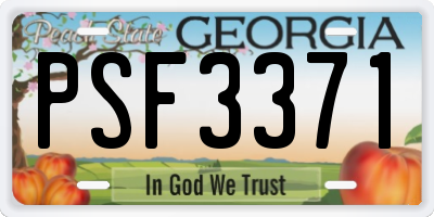 GA license plate PSF3371