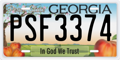 GA license plate PSF3374