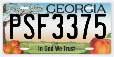 GA license plate PSF3375