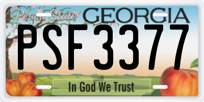 GA license plate PSF3377