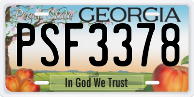 GA license plate PSF3378