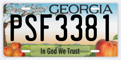 GA license plate PSF3381