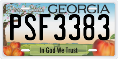 GA license plate PSF3383