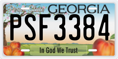 GA license plate PSF3384