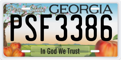 GA license plate PSF3386