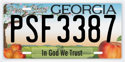 GA license plate PSF3387