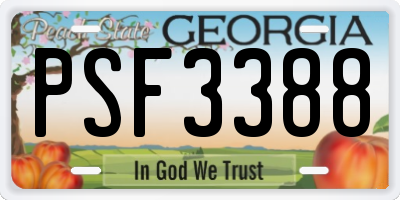 GA license plate PSF3388
