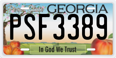 GA license plate PSF3389