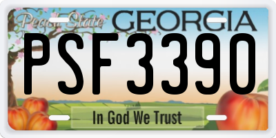 GA license plate PSF3390
