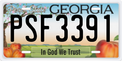 GA license plate PSF3391