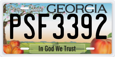 GA license plate PSF3392