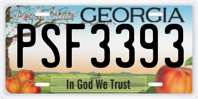 GA license plate PSF3393