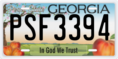 GA license plate PSF3394