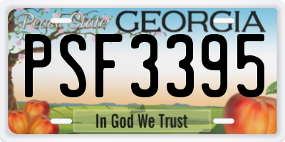 GA license plate PSF3395